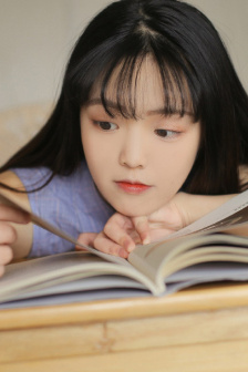 正版粉红淑女2